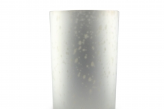 FLYCD07WS-FROSTED SILVER